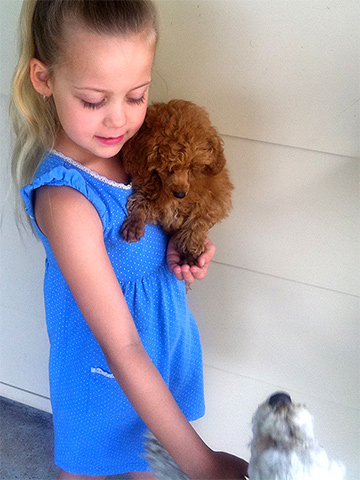 girl holding puppy